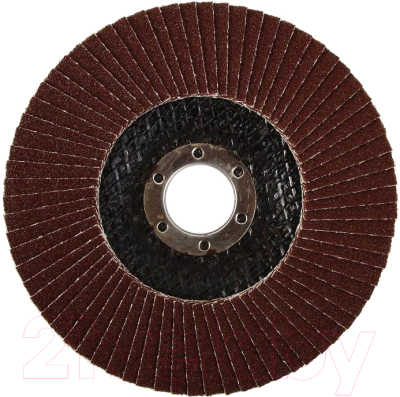 Изображение товара Шлифовальный круг Энкор 55406