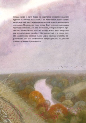 Книга Ранок Красношейка / S688003Р (Сетон-Томпсон Э.)