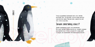 Развивающая книга Ранок Где живет пингвин? / S914005Р (Чуб Н.В.)
