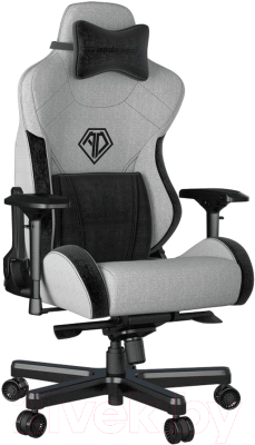Кресло геймерское AndaSeat T-Pro 2 / AD12XLLA-01-GB-F (серый/черный)