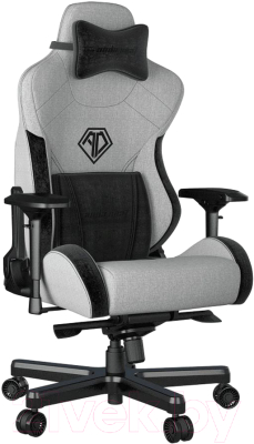 Кресло геймерское AndaSeat T-Pro 2 / AD12XLLA-01-GB-F