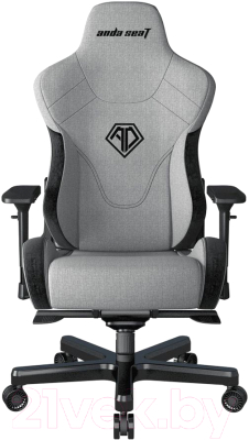 Кресло геймерское AndaSeat T-Pro 2 / AD12XLLA-01-GB-F (серый/черный)