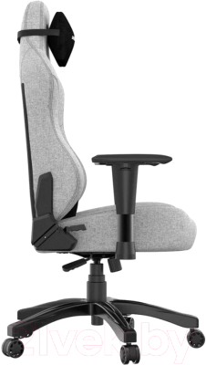 Кресло геймерское AndaSeat T-Pro 2 / AD12XLLA-01-GB-F (серый/черный)