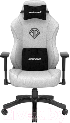 Кресло геймерское AndaSeat T-Pro 2 / AD12XLLA-01-GB-F (серый/черный)