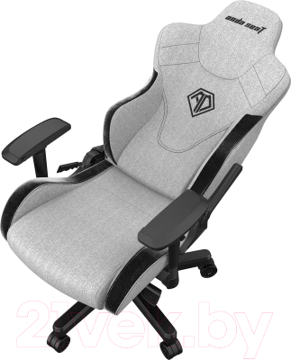 Кресло геймерское AndaSeat T-Pro 2 / AD12XLLA-01-GB-F (серый/черный)