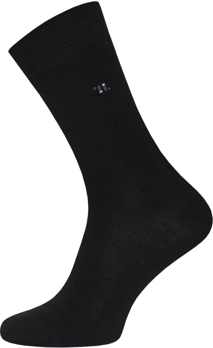 Носки Брестские Arctic 2453 рис. 000 / 19С2453 (р.25, черный)