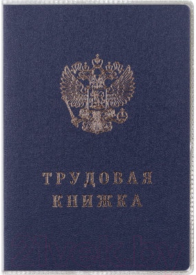 Обложка на паспорт DPS 1071.К