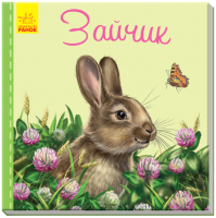

Книга, Зайчик / А582009Р