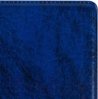 Альбом для коллекционирования Остров Сокровищ 237958 (синий)