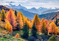 

Набор алмазной вышивки РЫЖИЙ КОТ, Осенний горный пейзаж / AC34070