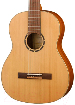 Акустическая гитара Ortega R122 (с чехлом)