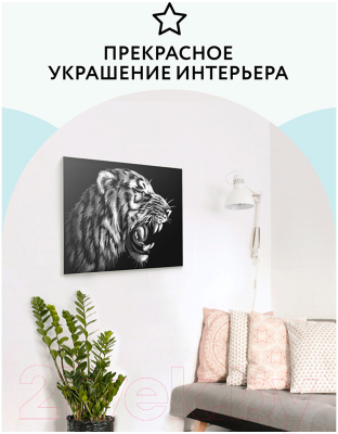 Картина по номерам Три совы Монохромный тигр / КК_44030