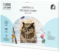 

Картина по номерам Три совы, Мудрый филин / КК_44033