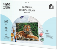 

Картина по номерам Три совы, Тигр / КК_44027