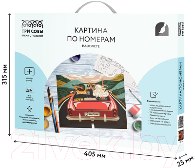 Изображение товара Картина по номерам Три совы В лето на кабриолете / КХ_44122