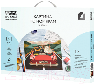 Изображение товара Картина по номерам Три совы В лето на кабриолете / КХ_44122