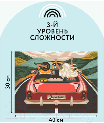 Изображение товара Картина по номерам Три совы В лето на кабриолете / КХ_44122