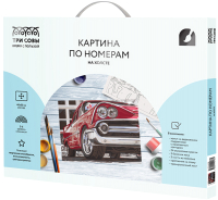 

Картина по номерам Три совы, Красная машина / КХ_44186