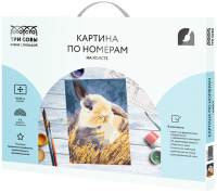

Картина по номерам, Кролик / КХ_44099