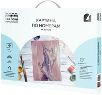 Картина по номерам Три совы Прикосновения / КХ_44182 -