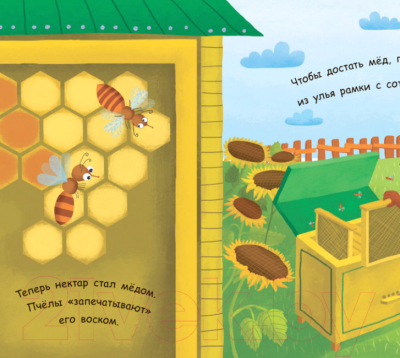 Изображение товара Энциклопедия Ранок Как получается мед? / Л807003Р (Конопленко И.И.)