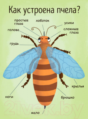 Изображение товара Энциклопедия Ранок Как получается мед? / Л807003Р (Конопленко И.И.)