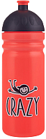 

Бутылка для воды Healthy Bottle, Безумный