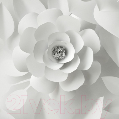 Фотообои листовые Citydecor Цветы модерн 3D (300x150)