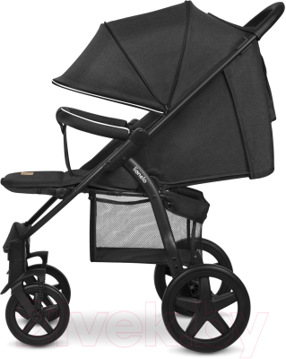 Детская прогулочная коляска Lionelo Annet Plus (черный)
