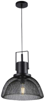 

Потолочный светильник Sfera Sveta, 06898/1 Black