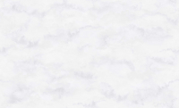 

Виниловые обои Erismann, Naomi 60402-02