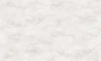 

Виниловые обои Erismann, Naomi 60402-03