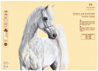 

Набор бумаги для рисования Лилия Холдинг, Палаццо БPS/B2