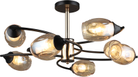 

Люстра Sfera Sveta, 3758/8 FGD+BK