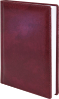 

Ежедневник inФормат, Бизнес 2023г / DB-BSA5-23/R