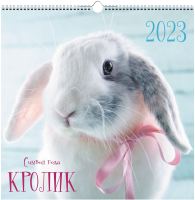 

Календарь настенный Listoff, 2023 Символ года КПКС2317