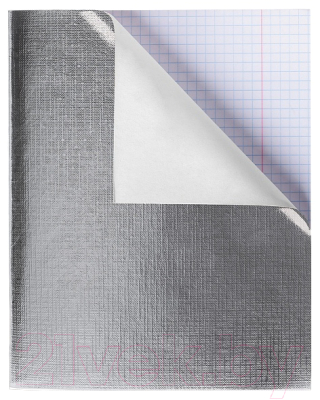 Изображение товара Тетрадь Hatber Metallic 96Т5бвВ1 (96л, серебристый)