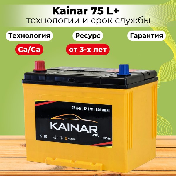 Автомобильный аккумулятор Kainar Asia 75 JL+ / 070 20 38 02 0031 10 11 0 R (75 А/ч)