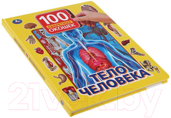 Развивающая книга Умка Тело человека. 100 секретных окошек для малышей — фото 5