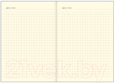 Изображение товара Ежедневник Greenwich Line Vision. Italia Terrazzo A6 / NA6_30808 (80л)