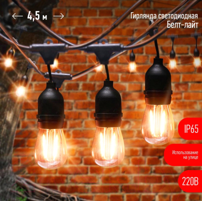 Изображение товара Гирлянда с лампами накаливания ЭРА ERABL-FIL1 / Б0056017