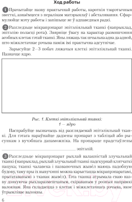 Рабочая тетрадь Аверсэв Бiялогiя. 9 клас. Для лабараторных і практычных работ (Лісаў М.Д.)