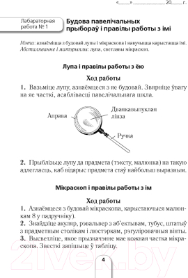 Рабочая тетрадь Аверсэв Бiялогiя. 6 клас. Для лабараторных i практычных работ (Баршчэўская А.В. Лісаў М.Д.)