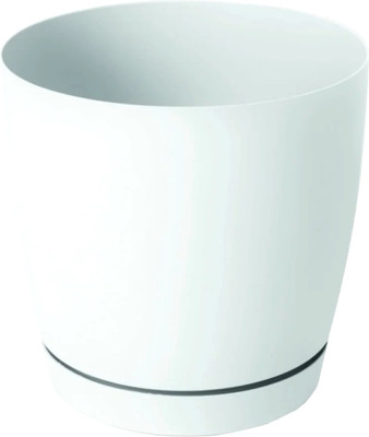 

Вазон, Глория №3 / EP277