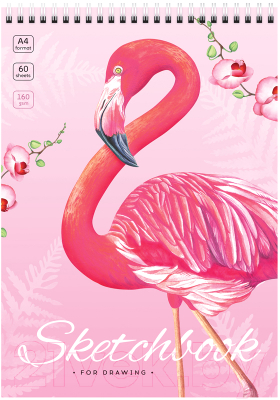 Скетчбук ArtSpace Flamingos / С60грг_47671 (60л)