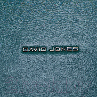 Рюкзак David Jones 823-6632-2-DGN (зеленый)