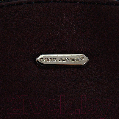 Рюкзак David Jones 823-6600-2-DBD (бордовый)