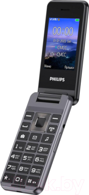Мобильный телефон Philips Xenium E2601 CTE2601DG/00 (темно-серый)