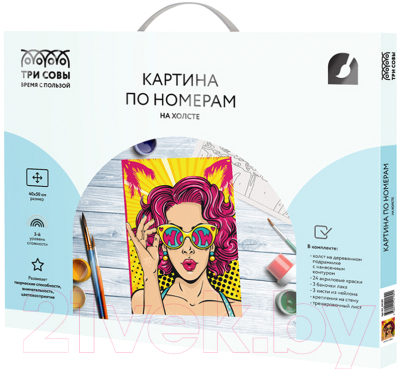 Изображение товара Картина по номерам Три совы Wow. Girl / КХ_44189