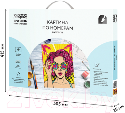 Изображение товара Картина по номерам Три совы Wow. Girl / КХ_44189